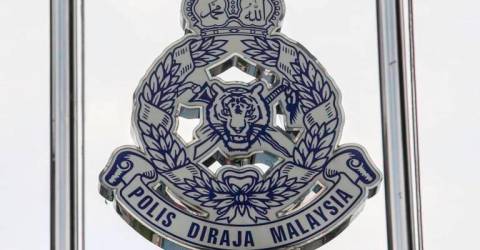 Lorry driver, attendant killed in crash